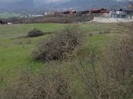 Объявление №6047894 - Шемаха, Шемаха, 900 сот