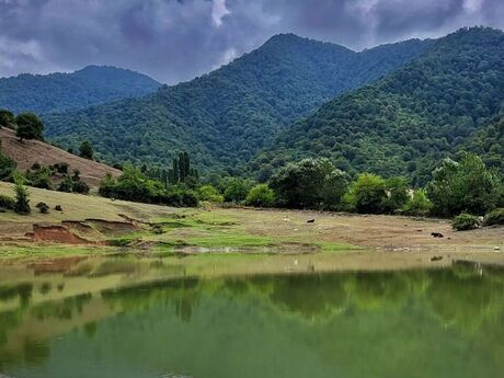 Объявление №6048173 - Исмаиллы, Исмаиллы, 6-комн., 170 м²