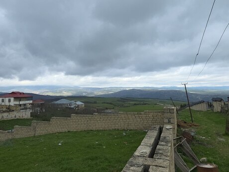 Torpaq - Şamaxı - 11 sot