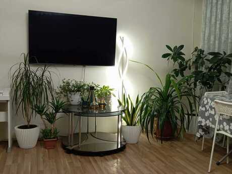 3 otaqlı köhnə tikili - Elmlər Akademiyası m. - 101 m²