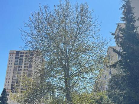 Elan №6050133 - Bakı, İnşaatçılar m., 2 otaqlı, 60 m², 1/5 mərtəbə