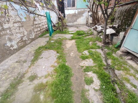 2 otaqlı həyət evi/bağ evi - Biləcəri q. - 55 m²