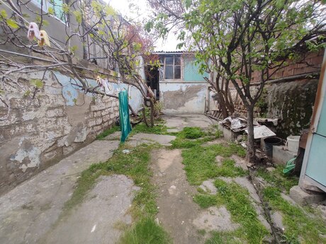 2 otaqlı həyət evi/bağ evi - Biləcəri q. - 55 m²