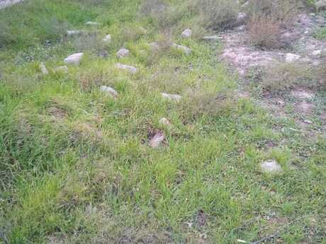 Объявление №6053711 - Баку, пос. Бадамдар, 3.7 сот