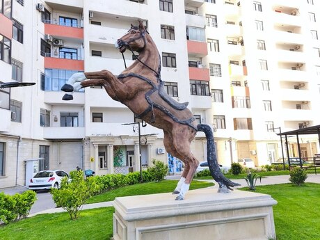 3-комн. новостройка - м. Дернегюль - 141 м²