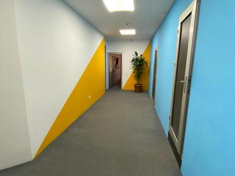 10 otaqlı ofis - 28 May m. - 250 m²