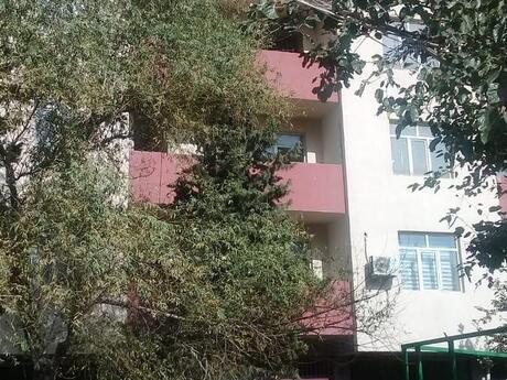 Объявление №6054213 - Баку, м. Мемар Аджеми, 220 м²