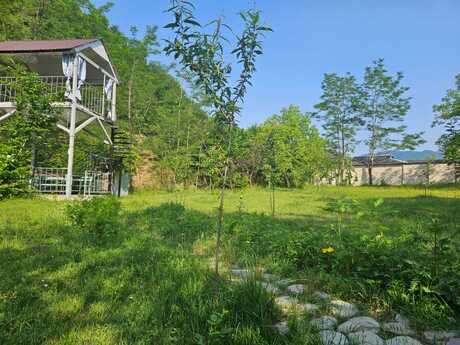 3 otaqlı həyət evi/bağ evi - İsmayıllı - 120 m²
