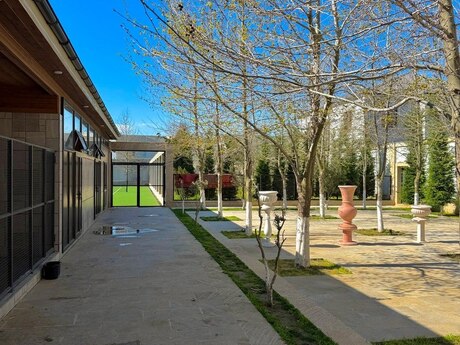 9 otaqlı həyət evi/bağ evi - Şüvəlan q. - 2000 m²