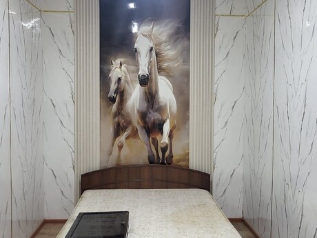 1 otaqlı həyət evi/bağ evi - 28 May m. - 40 m²