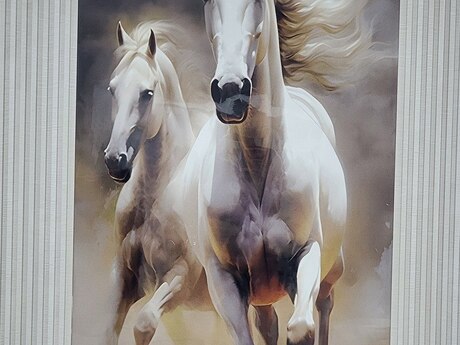 1 otaqlı həyət evi/bağ evi - 28 May m. - 40 m²