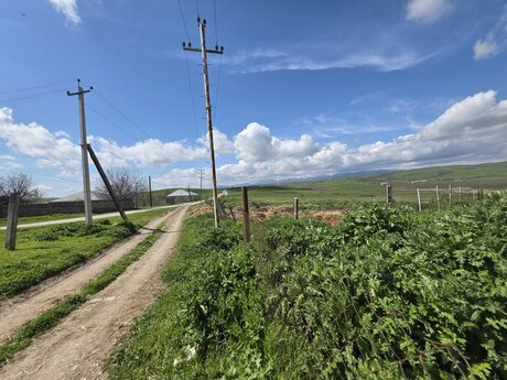 Torpaq - Şamaxı - 350 sot