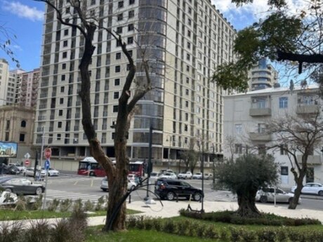 Elan №6055914 - Bakı, Gənclik m., 2 otaqlı, 64 m², 5/17 mərtəbə