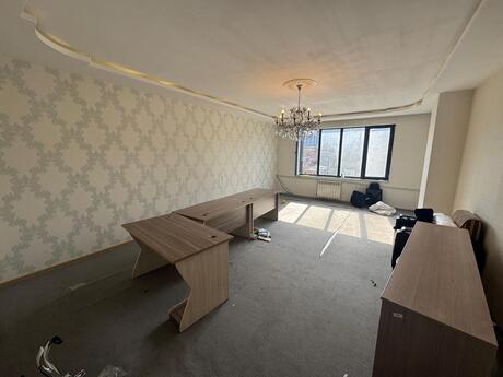 3-комн. офис - м. Низами - 150 м²