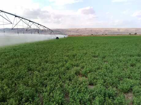 Elan №6056921 - Ağsu, Ağsu, 31000 sot