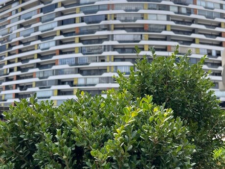 2-room apartment, 73 m², Avtovağzal: 135 000 ₼ 5