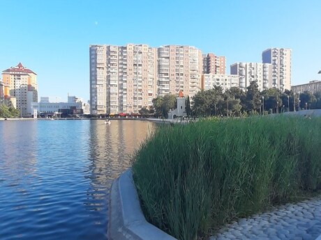 Объявление №6057434 - Баку, Наримановский  р., 5-комн., 210 м², 4/15 этаж