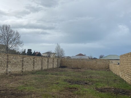 Novxanı q.