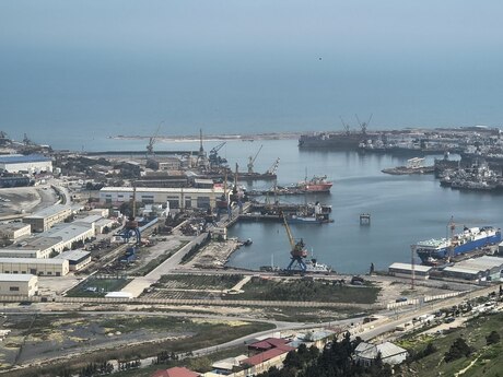 Объявление №6058888 - Баку, пос. Бадамдар, 22 сот