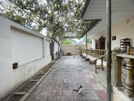 5 otaqlı həyət evi/bağ evi - Sumqayıt - 280 m²