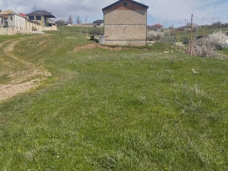 Torpaq - Şamaxı - 8 sot