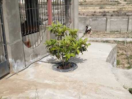 1 otaqlı həyət evi/bağ evi - Sumqayıt - 30 m²