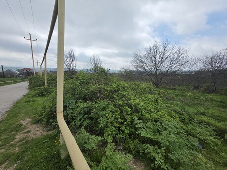 Torpaq - Şamaxı - 11 sot