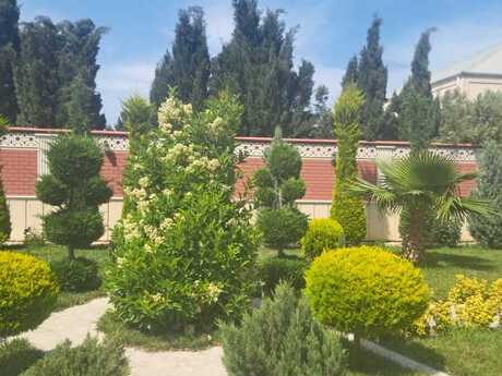 7 otaqlı həyət evi/bağ evi - Novxanı q. - 410 m²