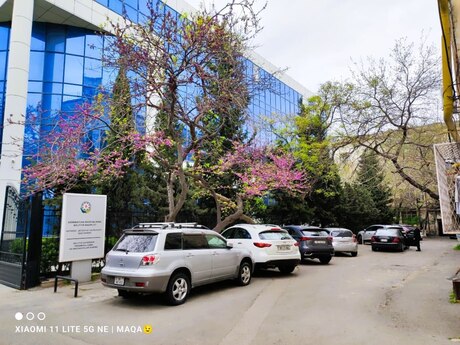2 otaqlı köhnə tikili - Nəsimi r. - 50 m²