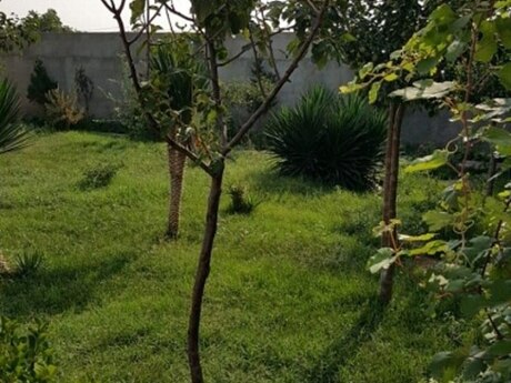 5 otaqlı həyət evi/bağ evi - Türkan q. - 300 m²