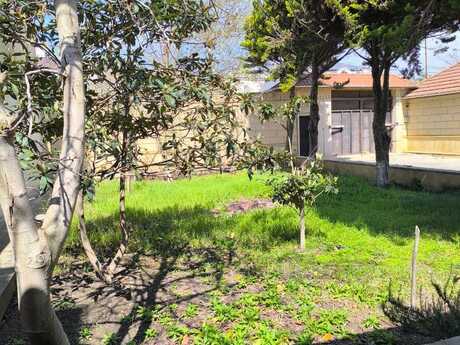 7 otaqlı həyət evi/bağ evi - Badamdar q. - 800 m²