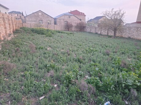 Torpaq - Saray q. - 10 sot