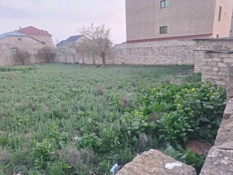Torpaq - Saray q. - 10 sot
