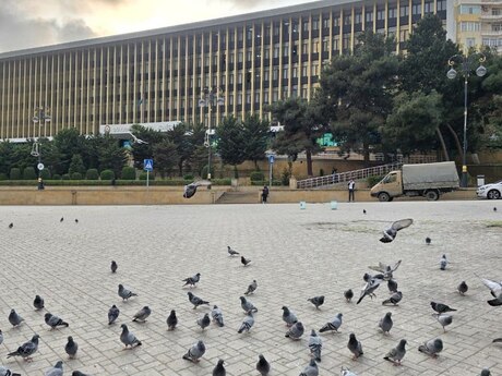 Elan №6059769 - Bakı, Nizami m., 3 otaqlı, 65 m², 4/5 mərtəbə