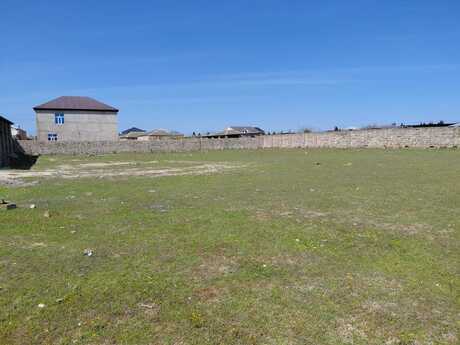 Объявление №6052503 - Баку, пос. Гала, 36 сот