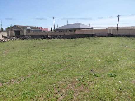 Объявление №6052541 - Баку, пос. Гала, 12 сот