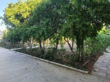 7 otaqlı həyət evi/bağ evi - Hövsan q. - 360 m²