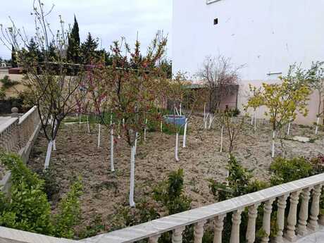 5 otaqlı həyət evi/bağ evi - Novxanı q. - 250 m²