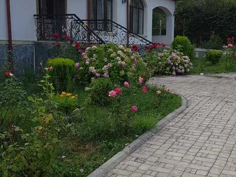 Elan №6060240 - Qəbələ, Qəbələ, 5 otaqlı, 400 m²