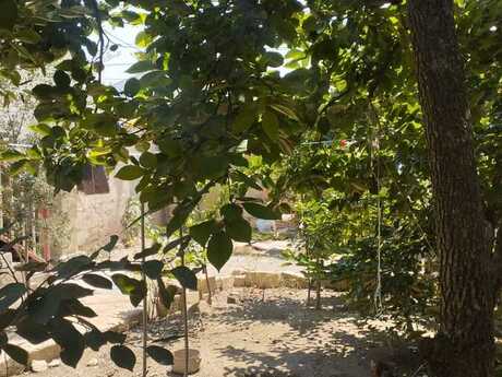 Объявление №6060328 - Баку, м. Азадлыг проспекти, 4 сот