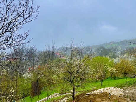 Elan №6060507 - Quba, Quba, 4 otaqlı, 144 m²