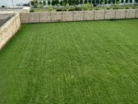 8 otaqlı həyət evi/bağ evi - Nardaran q. - 800 m²
