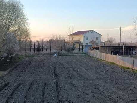Torpaq - Sabirabad - 24 sot