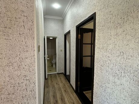 5 otaqlı həyət evi/bağ evi - Badamdar q. - 200 m²