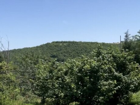 Torpaq - Şabran - 27 sot