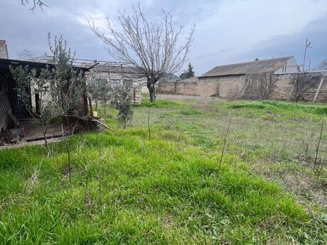 Объявление №6061660 - Хырдалан, Хырдалан, 105 сот