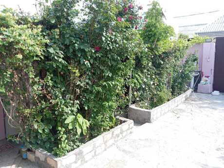 3 otaqlı həyət evi/bağ evi - Binəqədi q. - 90 m²