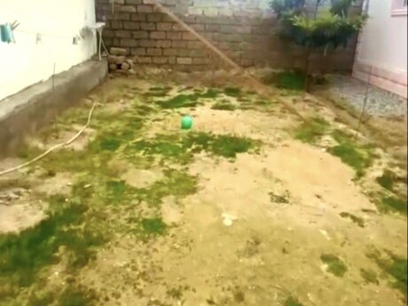 3 otaqlı həyət evi/bağ evi - Binə q. - 100 m²