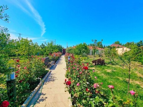 4 otaqlı həyət evi/bağ evi - Mərdəkan q. - 380 m²