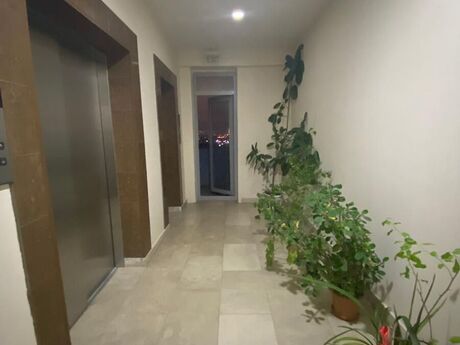 Объявление №6062079 - Баку, м. Ахмедлы, 2-комн., 98 м², 11/17 этаж